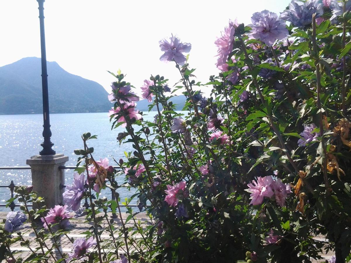 Lontani Da Casa Bed & Breakfast Borgofranco d'Ivrea Bagian luar foto